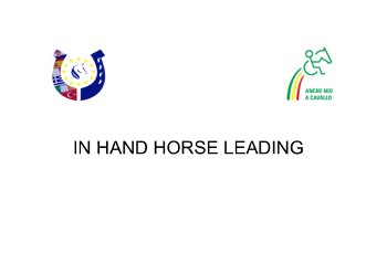 In Hand Horse Leading